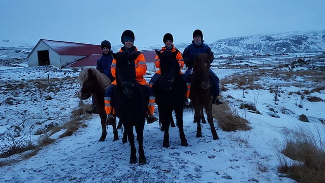 A photo of riders on the Icelandic Horse in winter