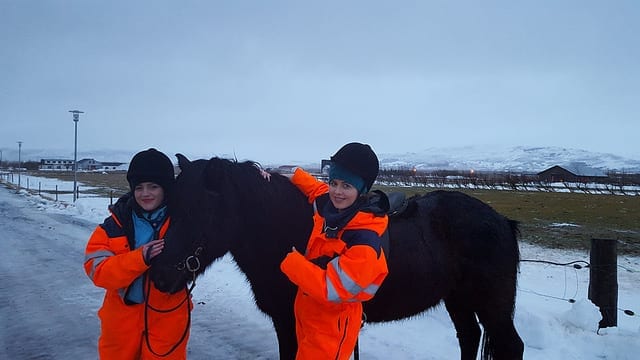 Petting the Icelandic Horse