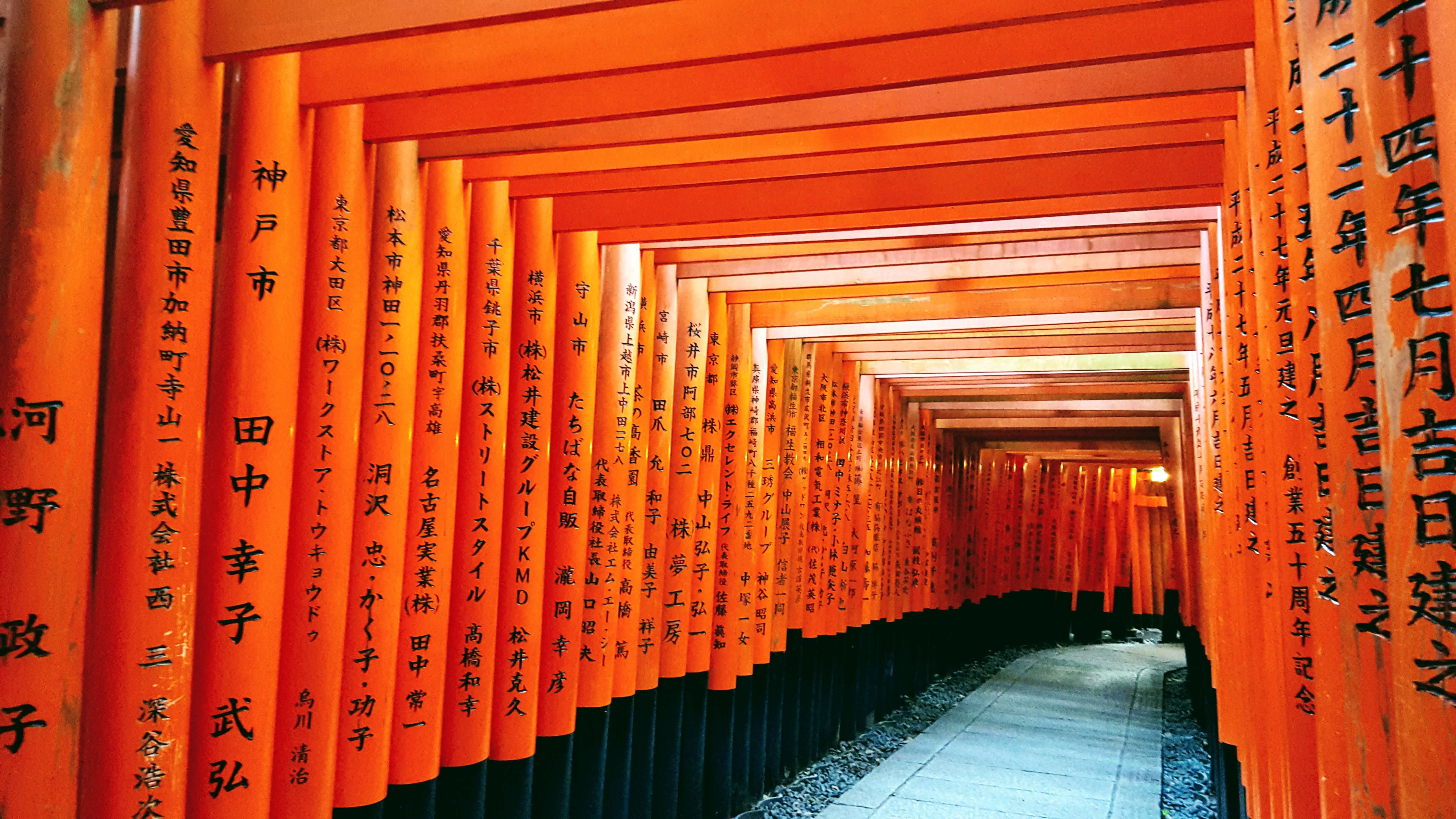 An-image-showing-top-5-things-to-do-in-kyoto-Fushi-Inari-taisha-Shrine