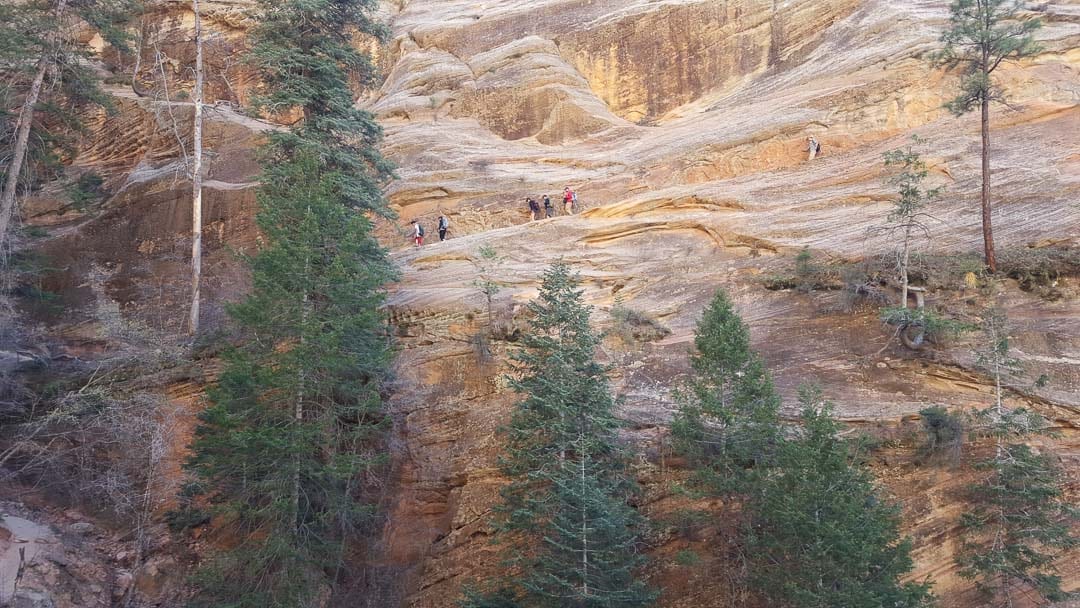 Zion-National-Park-Hikes