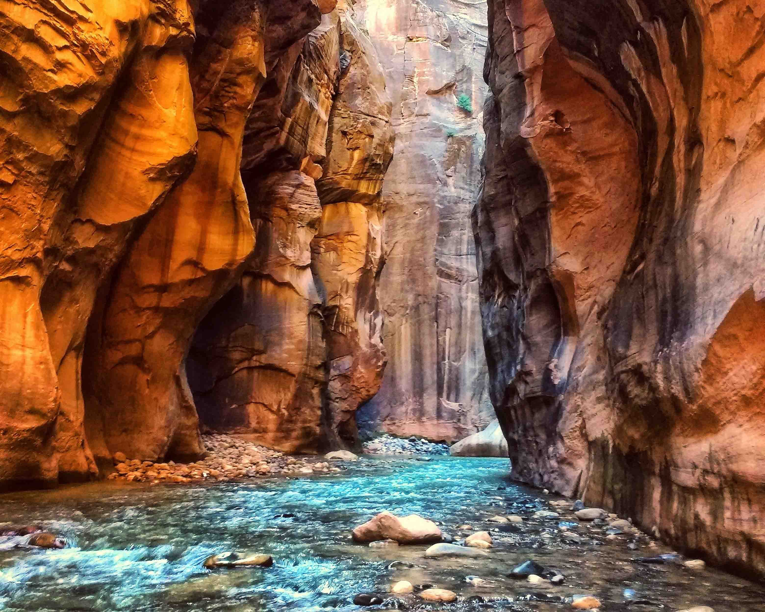 The Narrows Zion National Park Hike  All You Need to Know!