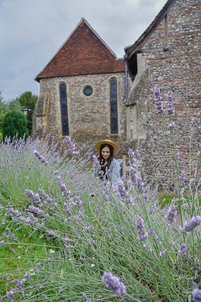 Lavender-Farm-England-UK