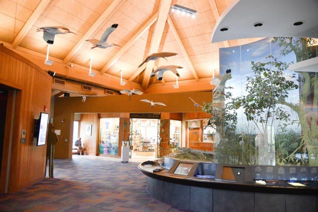 Ernest-F-Coe-Visitor-Center-wildlife-experience