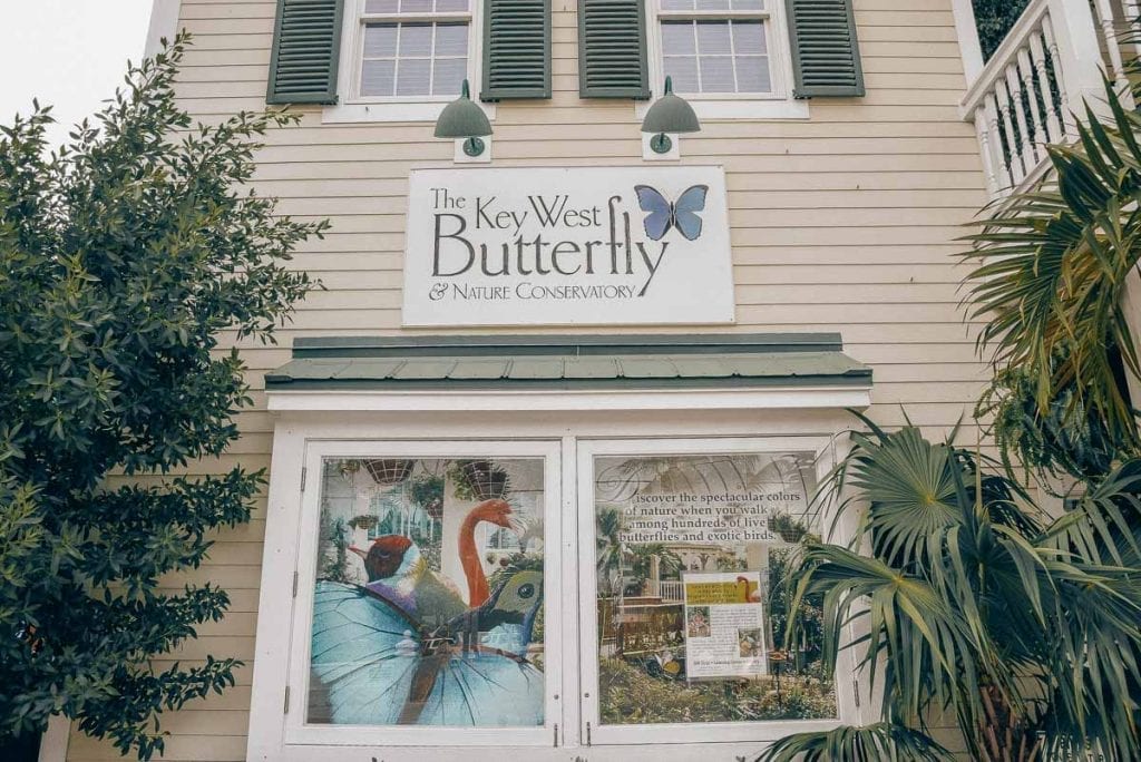 Key-West-Butterfly-Conservatory