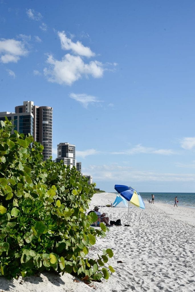 North-Gulfshore-Beach-Seagate-Beach