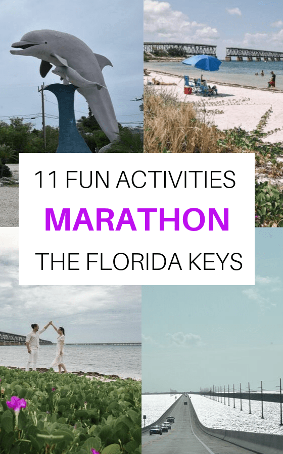 11 Fun Things To Do In Marathon Fl Don Miss These