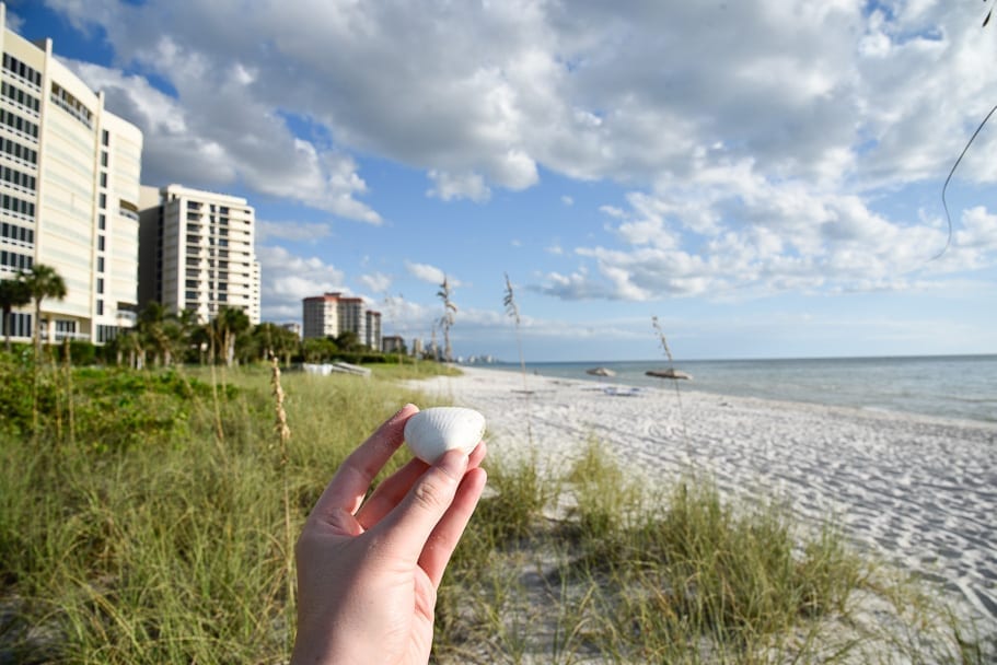 bluebill-beach-naples