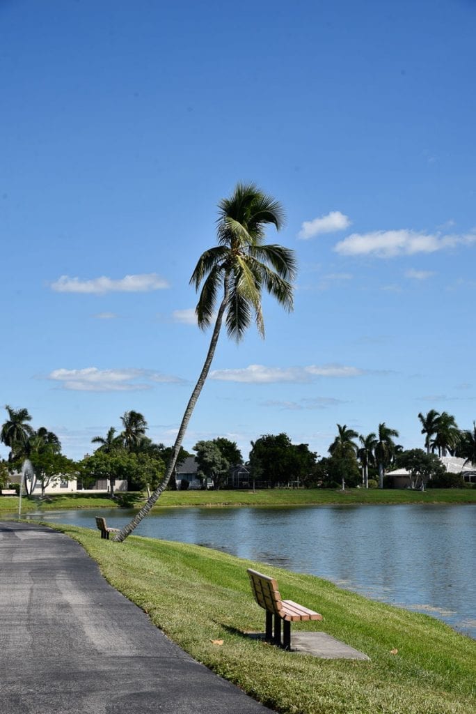 Fishing in Markle Park is one of the locals' favorite things to do in Marco Island