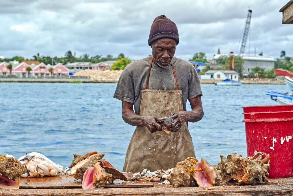 Conch-Florida-Foods