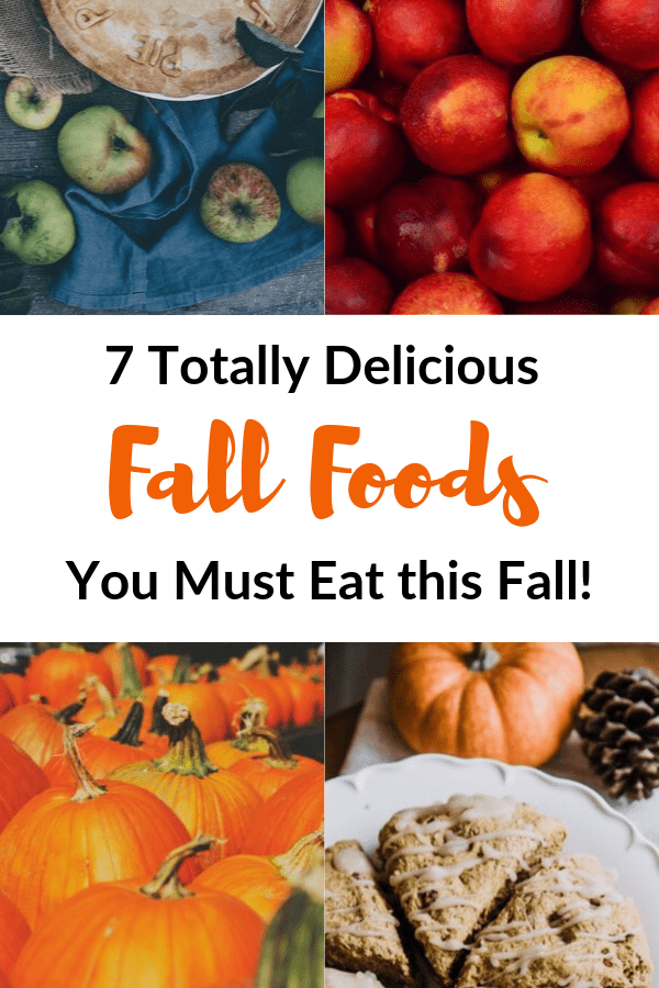 fall-meal-ideas