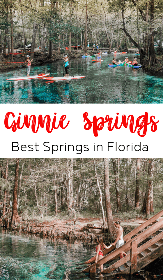 ginnie-springs-tubing-florida