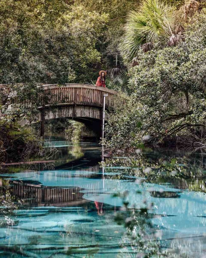 juniper-springs-florida