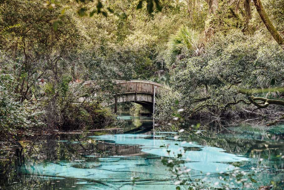 juniper-springs