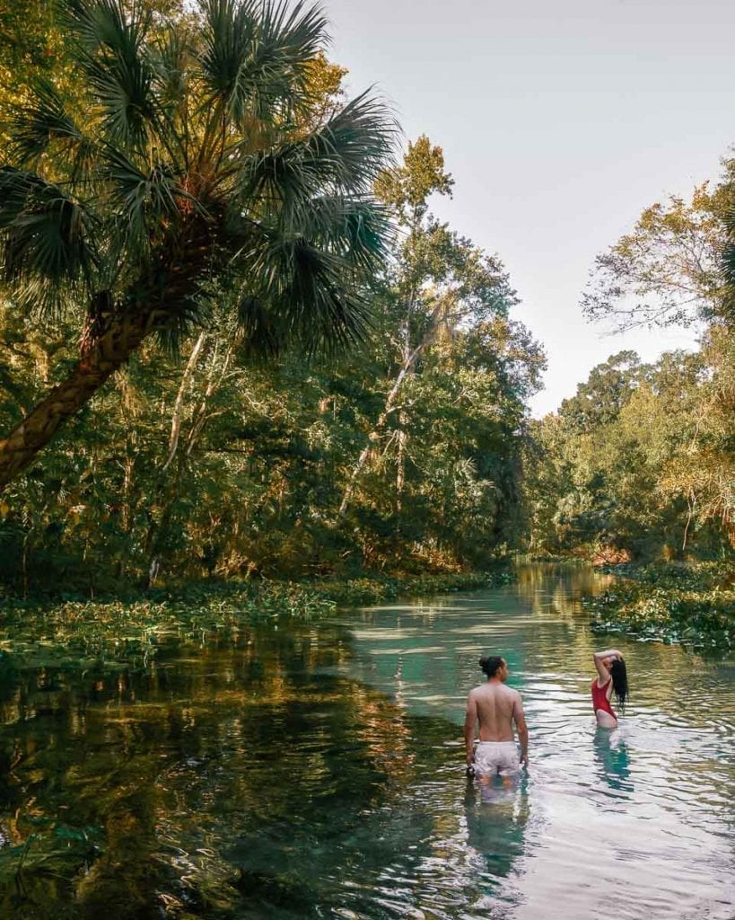 Kelly Park Rock Springs Tubing Tips for Florida's Lazy River