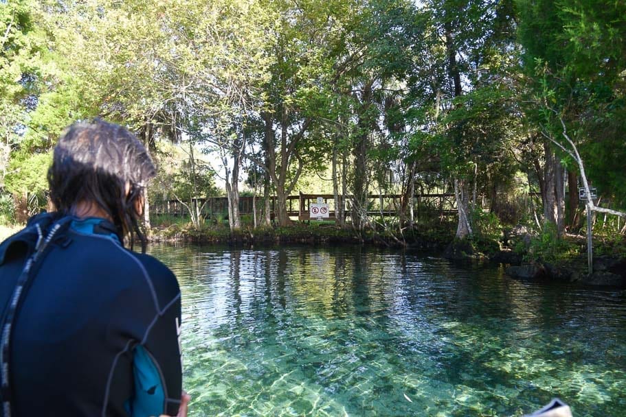 swim-with-manatees-Florida