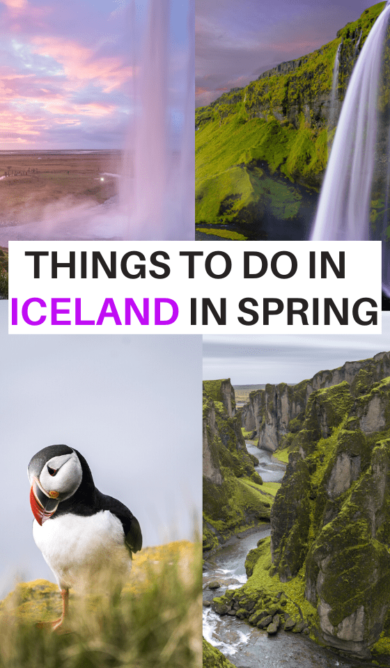 ICELAND-IN-SPRING
