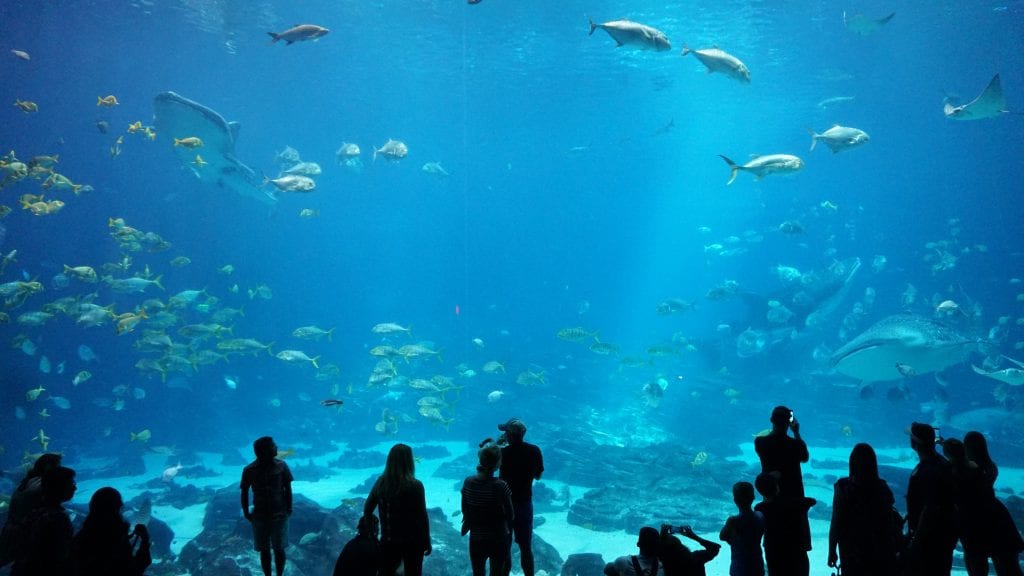 Georgia Aquarium, Atlanta, United States