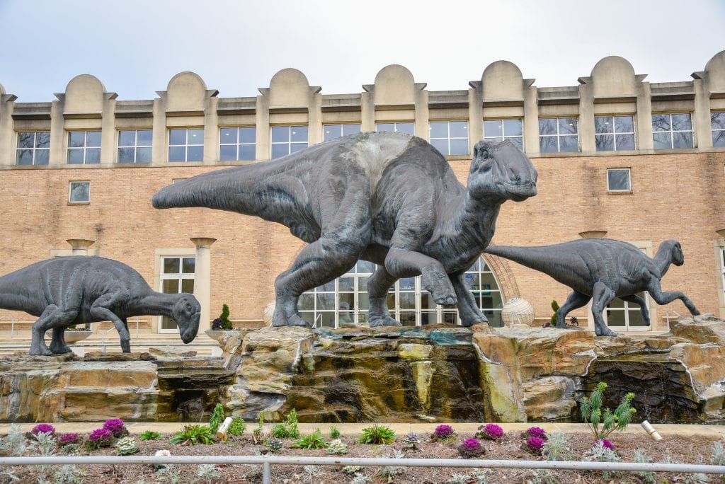 things-to-do-in-atlanta-fernbank-museum-of-natural-history