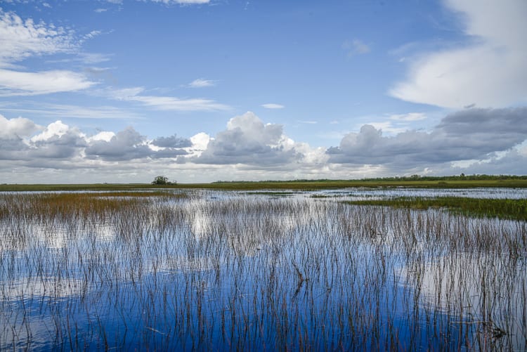 everglades-airboat-tours-best-way-to-see-everglades