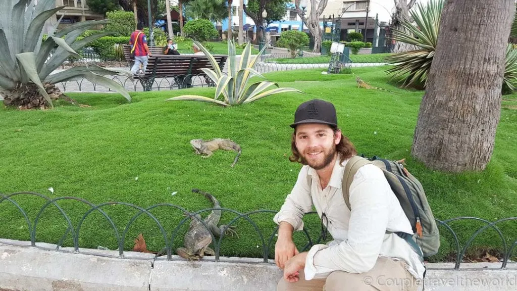 Photo with lizards