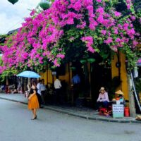 An-image-about-the-best-things-to-do-in-HoiAn-Vietnam