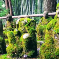 An-image-showing-the-5-Best-and-Most-Instagrammable-Things-to-do-in-Kyoto