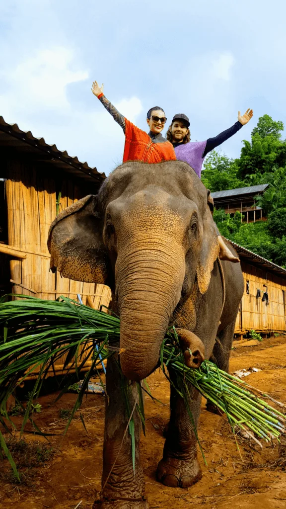 An-image-showing-whether-ethical-to-ride-elephants-Chiang-Mai