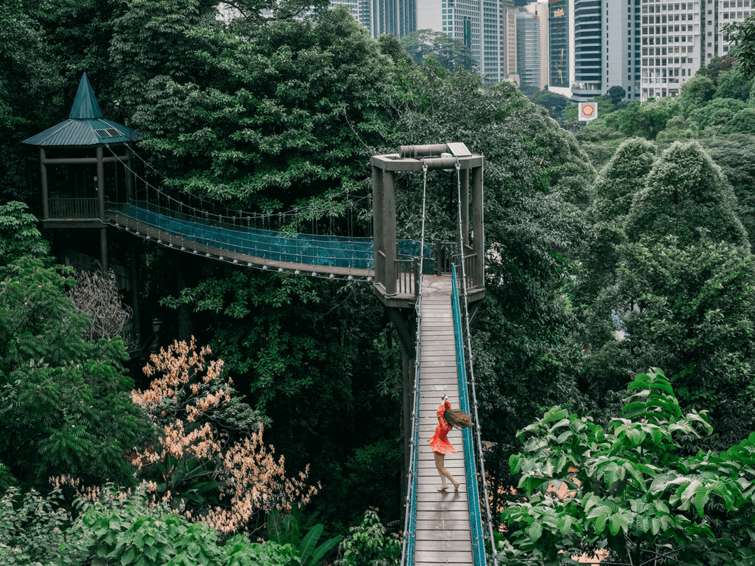 KL Forest Eco Park, PTT Outdoor, Kl Forest Eco Park Photo,