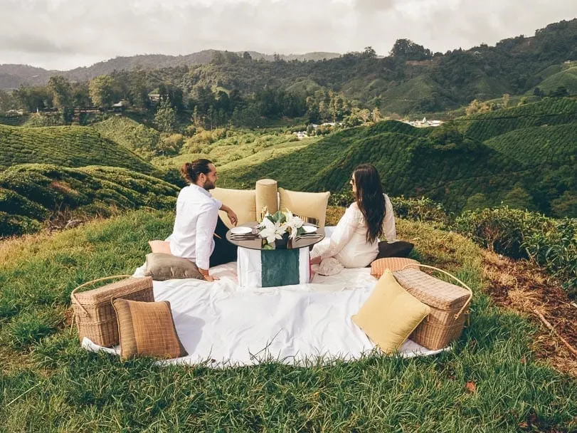 Signature Picnic Cameron Highlands 