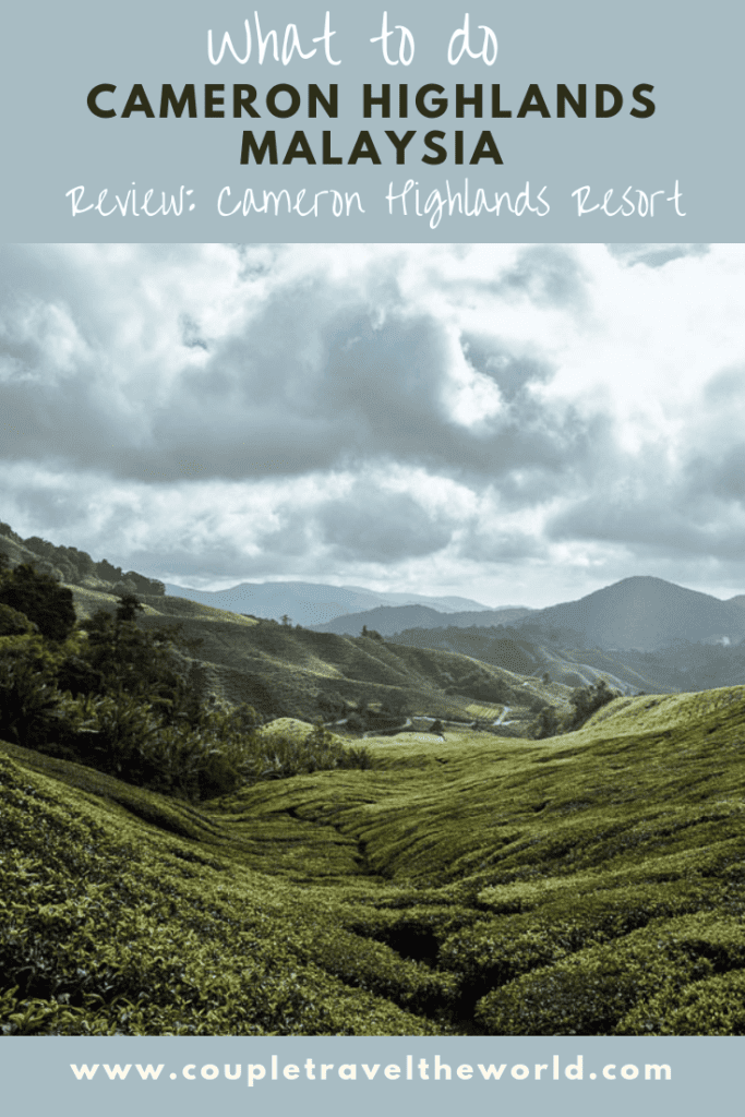 What to do Cameron Highlands 