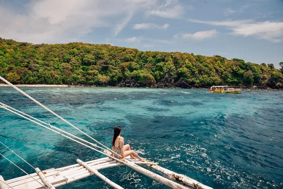 Apo Island Marine Life