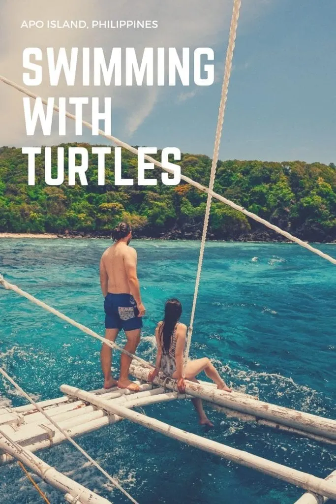 Apo Island, Apo Island Turtles, Things to do Apo Island, Things to do Dumaguete, Swim with turtles Philippines, Turtles Philippines, Swim with turtles Apo Island