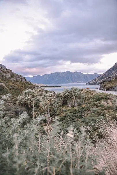 lake-wanaka, lake-wanaka-sunset, new-zealand-south-island, south-island-nz, south-island-instagram, beautiful-places-new-zealand, franz-josef-wanaka, franz-josef-to-lake-wanaka, south-island-road-trip-destinations, things-to-see-south-island-new-zealand, 14-day-nz-itinerary