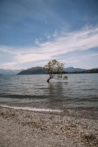 One-tree-lake, one-tree-lake-wanaka, lake-wanaka-travel-guide, lake-wanaka-south-island-roadtrip, lake-wanaka, lake-wanaka-sunset, new-zealand-south-island, south-island-nz, south-island-instagram, beautiful-places-new-zealand, franz-josef-wanaka, franz-josef-to-lake-wanaka, south-island-road-trip-destinations, things-to-see-south-island-new-zealand, 14-day-nz-itinerary