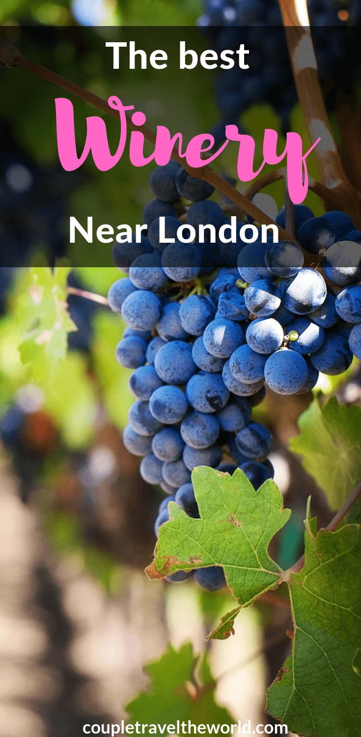 winery-near-london