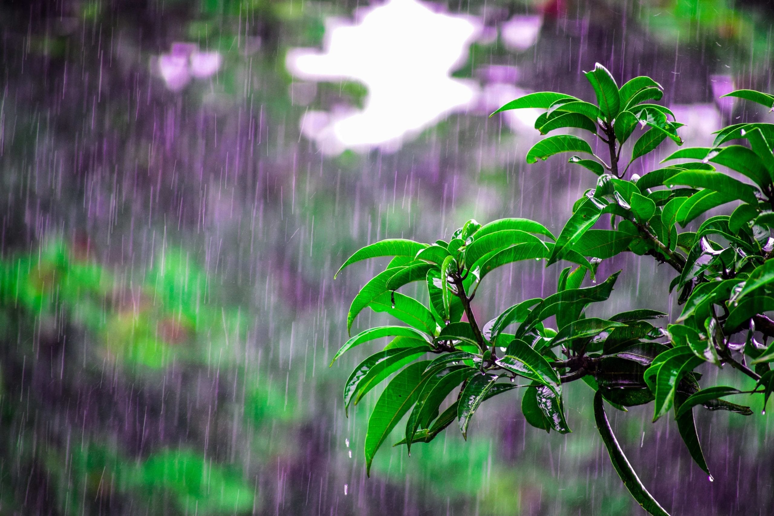 Rainy Day Meaning In Malay