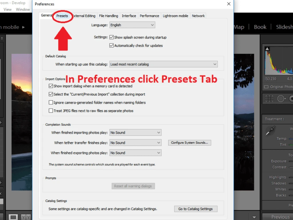 in-preferences-select-presets-tab
