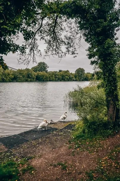 Milton-Country-Park-fishing