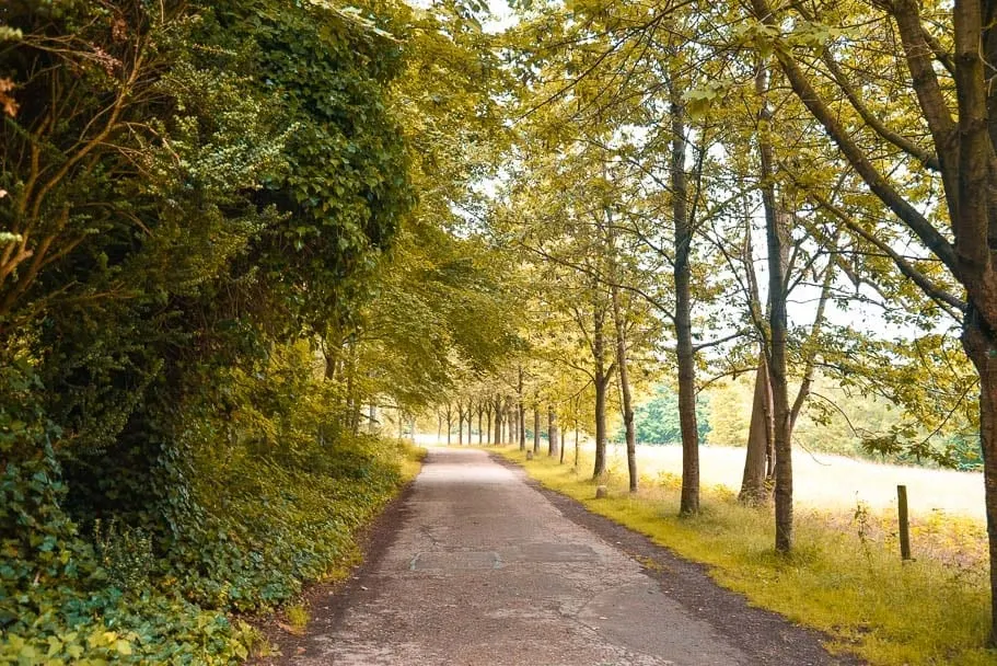 Wandlebury-Country-Park