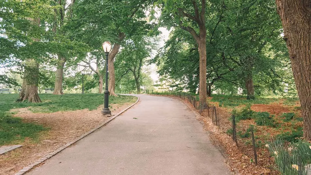 central-park-new-york