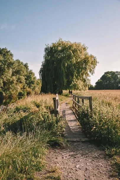 Grantchester-Meadows-Walk-best-walks-Cambridge-uk