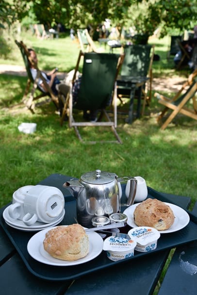 orchard-tea-room-cambridge-scones-uk