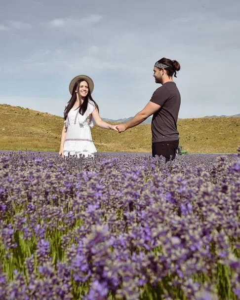 Best-Lavender-Farm-England