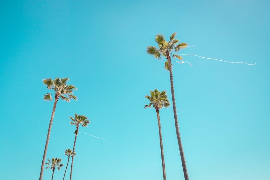 100 California Quotes For Inspiring Instagram Captions