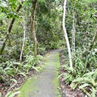Everglades-national-park-trails