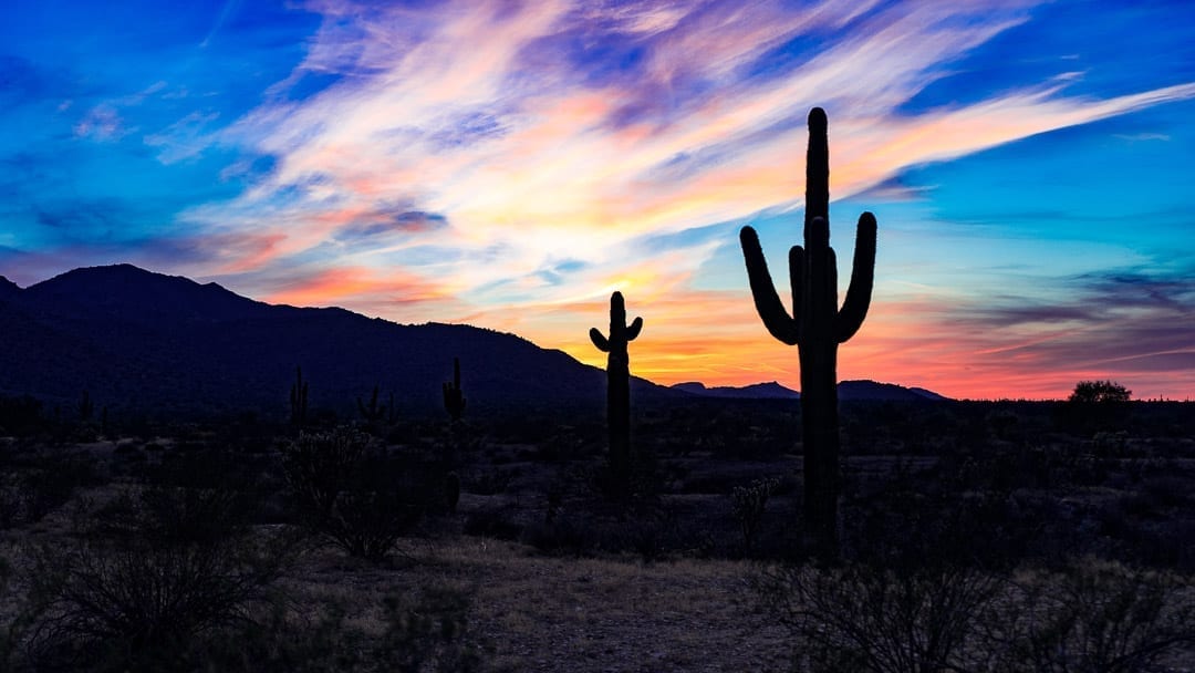 30+ Phoenix Arizona Quotes for Instagram Captions