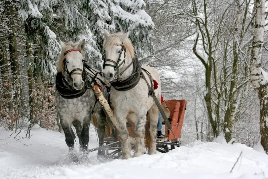 christmas-date-idea-sleigh-ride