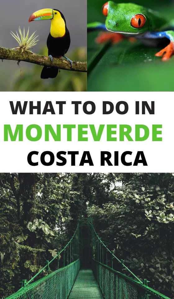 monteverde-costa-rica