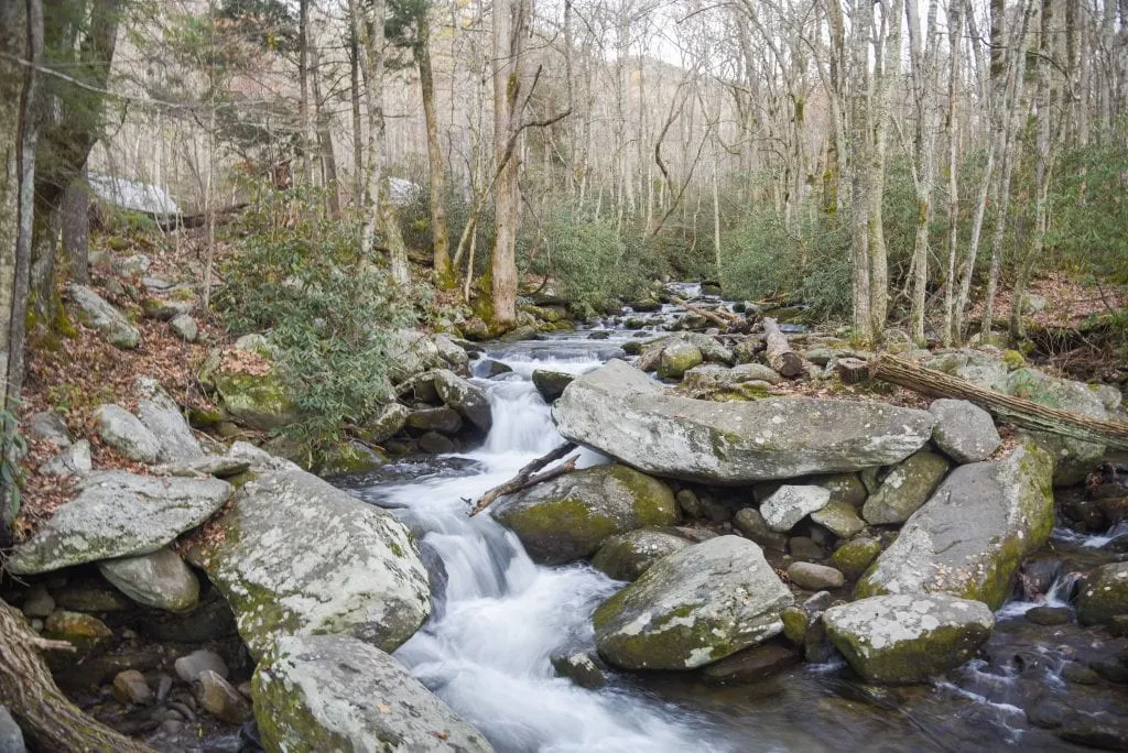 Pigeon-Forge-Smokey-mountains-national-park