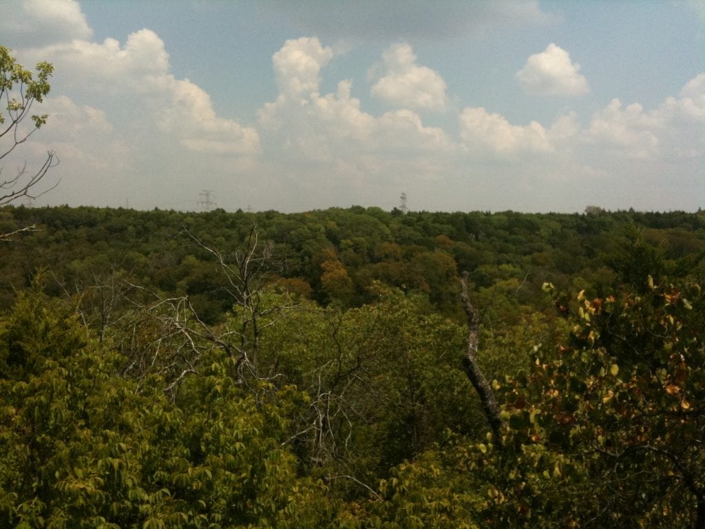 Cedar Ridge Nature Preserve